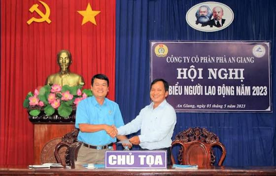 Lĩnh vực hoạt động chính